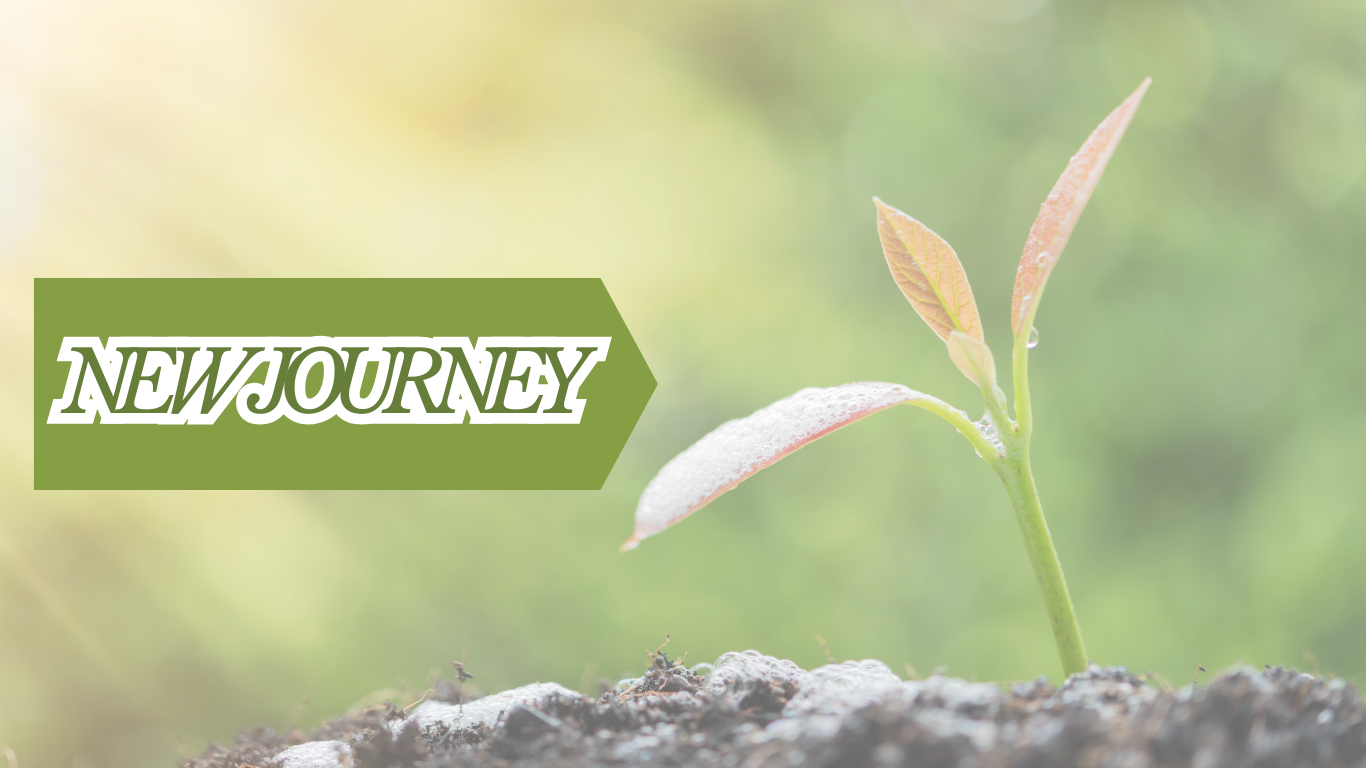 My Pregnancy Journey